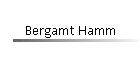 Bergamt Hamm