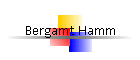 Bergamt Hamm