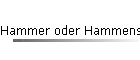 Hammer oder Hammenser